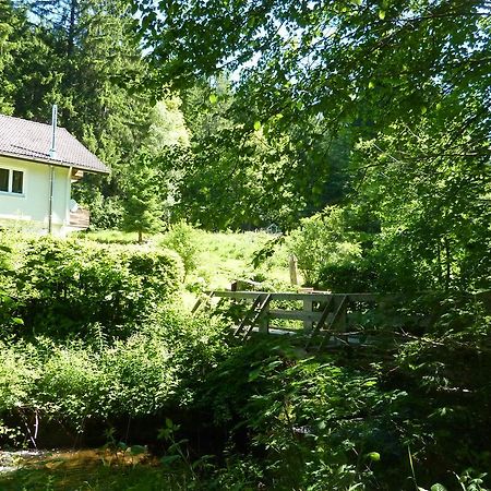 Apartment Schwarzwald Total 프로이덴슈타트 외부 사진