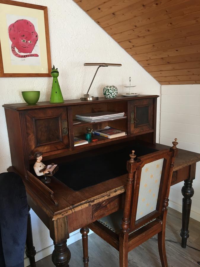Apartment Schwarzwald Total 프로이덴슈타트 외부 사진